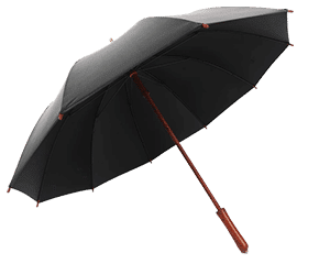 Black Umbrella with Wooden Handle