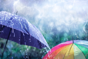 Best umbrella for wind and rain