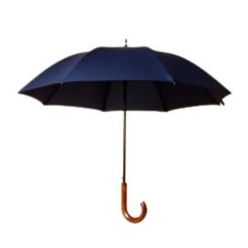 Automatic Straight Umbrella