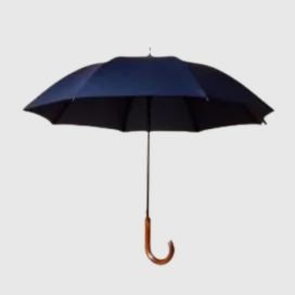 Automatic Straight Umbrella