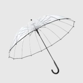 Transparent Straight Umbrella
