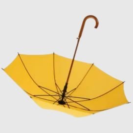 Wooden Handle Umbrella